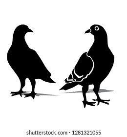 Bird icon silhouette