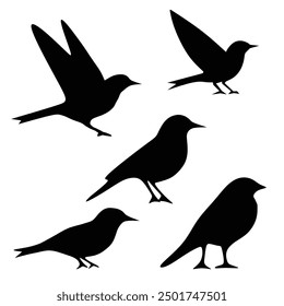 Bird icon, silhouette black vector clip art illustration