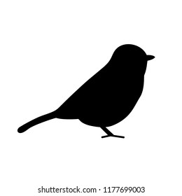 Bird icon, silhouette, logo on white background