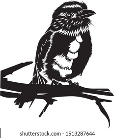 Bird icon silhouette vector illustration