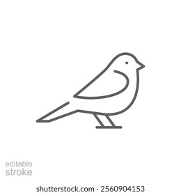 Bird icon. Simple outline style. Little bird silhouette, cute standing, nature, wild, wings, fauna, animal, wildlife concept. Thin line symbol. Vector illustration isolated. Editable stroke.