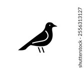 Bird icon. Simple solid style. Little bird silhouette, cute standing, nature, wild, wings, fauna, animal, wildlife concept. Black silhouette, glyph symbol. Vector illustration isolated.