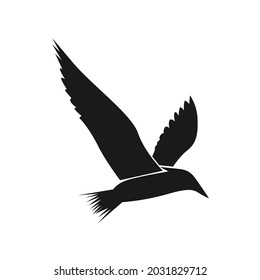 bird icon or symbol design