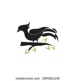 Bird icon and symbol vector illustration