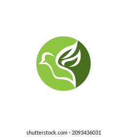Bird icon and symbol vector illustration