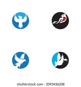 Bird icon and symbol vector illustration