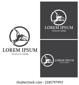 Bird icon and symbol vector illustration
