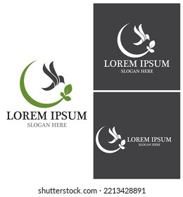 Bird icon and symbol vector illustration