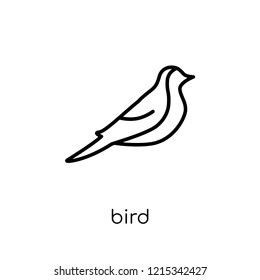 Bird icon. Trendy modern flat linear vector Bird icon on white background from thin line animals collection, editable outline stroke vector illustration
