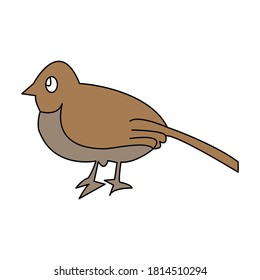 Bird icon vector design illustration
