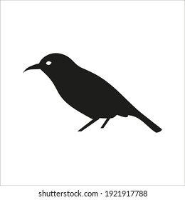 bird icon vector. bird vector graphic illustration on white background. color editable