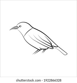 bird icon vector. bird vector graphic illustration on white background. color editable