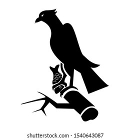 Bird icon vector illustration design template