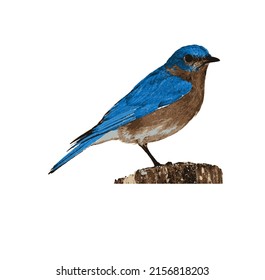 Vogelsymbol. Vektorgrafik eps10
