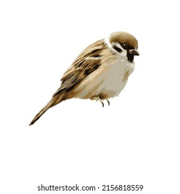 Bird icon. Vector illustration eps10