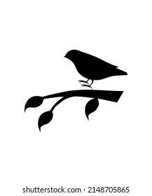 bird icon vector illustration logo template