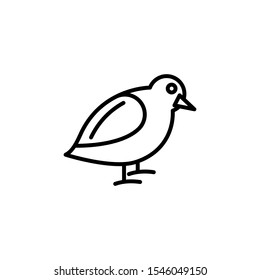 Bird Icon Vector Logo Templatet Design Illustration Eps - 10