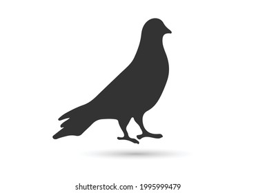 Bird icon vector symbol design illustration