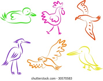 bird icons