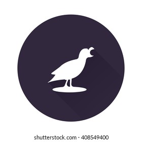 Bird icons
