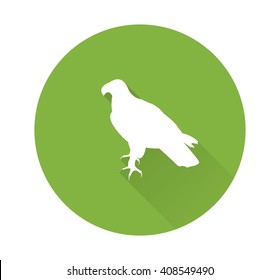 Bird icons