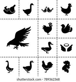Bird icons. set of 13 editable filled bird icons such as chicken, eagle, goose, rooster, bird, lovebirds