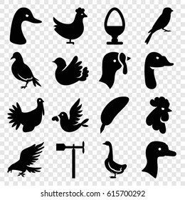 Bird icons set. set of 16 bird filled icons such as chicken, goose, turkey, dove, eagle, rooster, sparrow, weather vane, egg