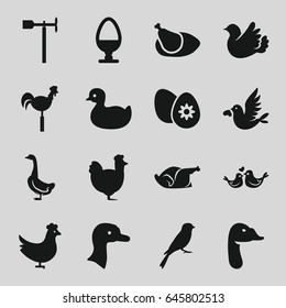 Bird icons set. set of 16 bird filled icons such as chicken, goose, sparrow, duck, weather vane, bird, easter egg