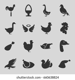Bird icons set. set of 16 bird filled icons such as chicken, dove, eagle, goose, rooster, wings, meat leg, weather vane, bird