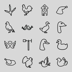 Bird Icons Set. Set Of 16 Bird Outline Icons Such As Dove, Goose, Footprint Of  Icobird, Chicken, Turkey, Duck, Wings, Meat Leg, Weather Vane, Bird