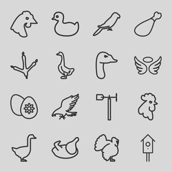 Bird Icons Set. Set Of 16 Bird Outline Icons Such As Eagle, Footprint Of  Icobird, Goose, Rooster, Parrot, Chicken, Turkey, Duck, Wings, Meat Leg, Weather Vane, Nesting House