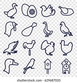 Bird icons set. set of 16 bird outline icons such as dove, eagle, goose, sparrow, turkey, chicken, meat leg, weather vane, nesting house, bird, easter egg