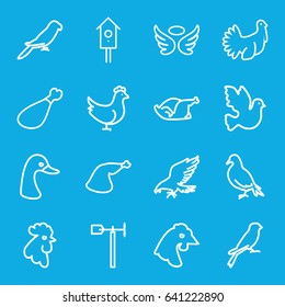 Bird icons set. set of 16 bird outline icons such as dove, eagle, goose, rooster, parrot, chicken, sparrow, wings, meat leg, weather vane, nesting house, turkey