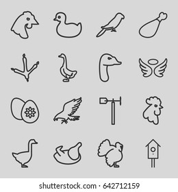 Bird icons set. set of 16 bird outline icons such as eagle, footprint of  icobird, goose, rooster, parrot, chicken, turkey, duck, wings, meat leg, weather vane, nesting house