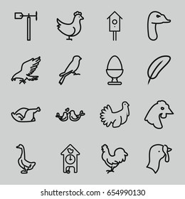 Bird icons set. set of 16 bird outline icons such as eagle, goose, chicken, sparrow, turkey, weather vane, nesting house, lovebirds, egg, cuckoo clock