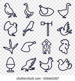 Bird icons set. set of 16 bird outline icons such as dove, eagle, footprint of  icobird, goose, rooster, sparrow, turkey, chicken, meat leg, weather vane, egg