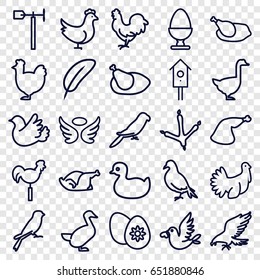 Bird icons set. set of 25 bird outline icons such as dove, eagle, footprint of  icobird, parrot, chicken, sparrow, goose, duck, wings, meat leg, weather vane, nesting house