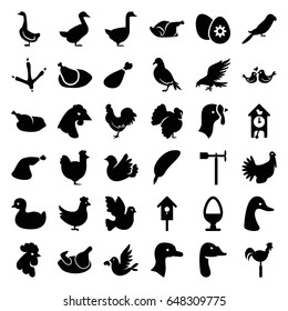 Bird icons set. set of 36 bird filled icons such as chicken, goose, turkey, dove, eagle, footprint of  icobird, rooster, parrot, duck, meat leg, weather vane, nesting house