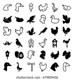 Bird icons set. set of 36 bird filled and outline icons such as chicken, goose, dove, eagle, rooster, parrot, turkey, weather vane, nesting house, lovebirds, easter egg