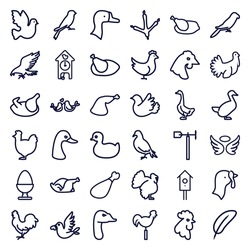 Bird Icons Set. Set Of 36 Bird Outline Icons Such As Dove, Eagle, Goose, Footprint Of  Icobird, Rooster, Parrot, Chicken, Sparrow, Turkey, Duck, Wings, Meat Leg, Weather Vane