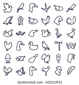 Bird icons set. set of 36 bird outline icons such as dove, eagle, goose, footprint of  icobird, rooster, parrot, chicken, sparrow, turkey, duck, wings, meat leg, weather vane