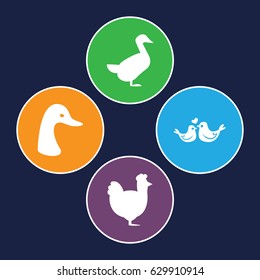 Bird icons set. set of 4 bird filled icons such as goose, chicken