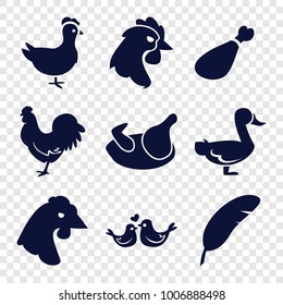 Vogelsymbole. Set von 9 bearbeitbaren Vogelsymbolen wie Huhn, Fleischbein, Livebirds, Gänse