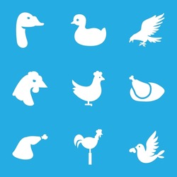 Bird Icons Set. Set Of 9 Bird Filled Icons Such As Chicken, Eagle, Goose, Duck, Meat Leg, Weather Vane