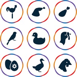 Bird Icons Set. Set Of 9 Bird Filled Icons Such As Turkey, Chicken, Sparrow, Goose, Duck, Meat Leg, Weather Vane