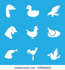 Bird icons set. set of 9 bird filled icons such as chicken, eagle, goose, duck, meat leg, weather vane