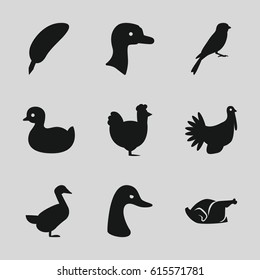 Bird icons set. set of 9 bird filled icons such as goose, sparrow, chicken, duck, turkey
