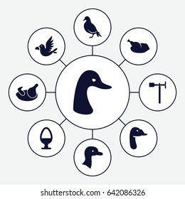 Bird icons set. set of 9 bird filled icons such as chicken, goose, dove, weather vane, love bird