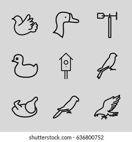 Bird icons set. set of 9 bird outline icons such as eagle, parrot, sparrow, chicken, goose, duck, weather vane, nesting house