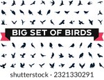 Bird icons set, different types of wild birds flat and modern icon set black and white vector Illustration 